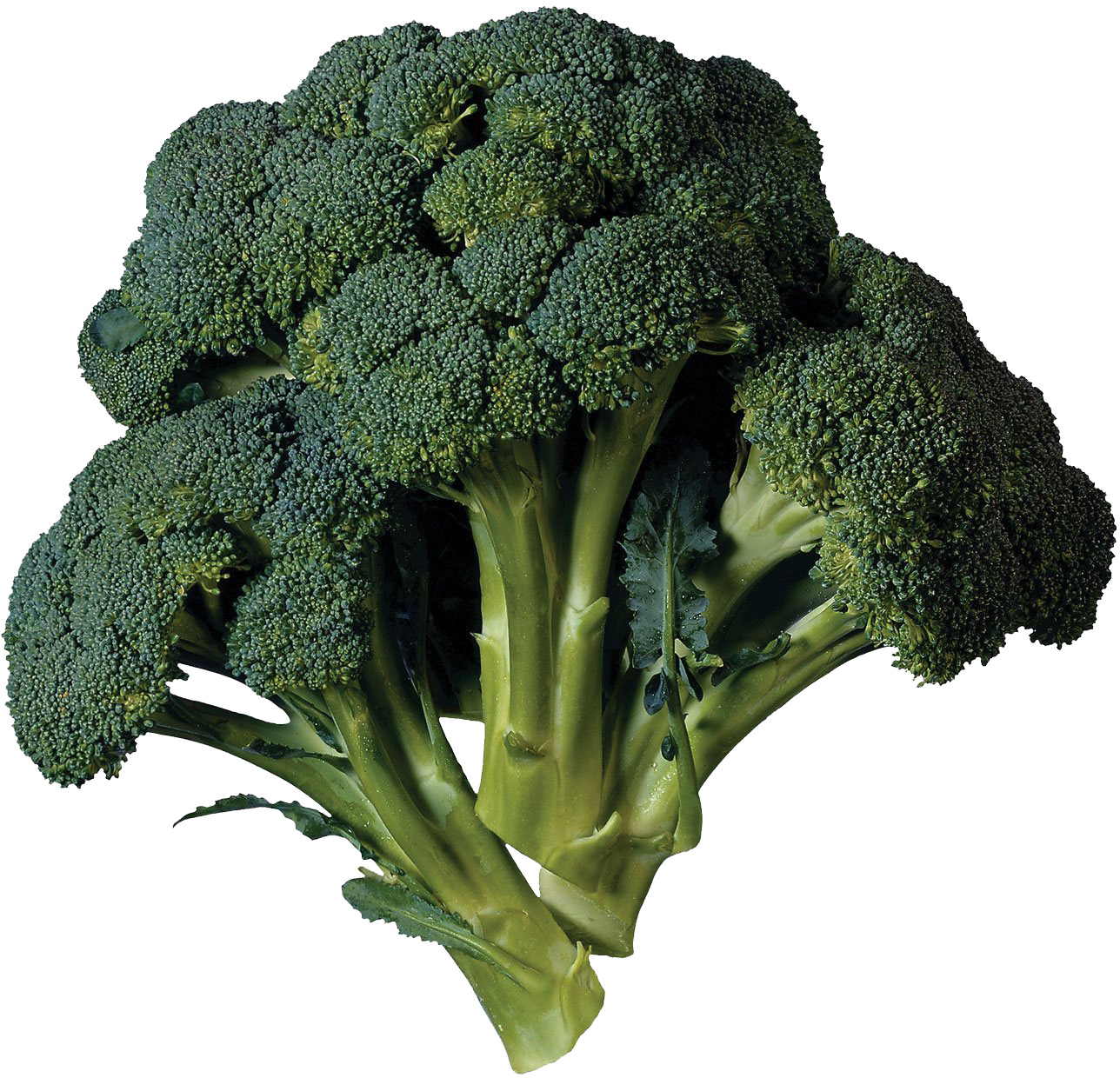 Green Broccoli PNG File HD Transparent PNG Image