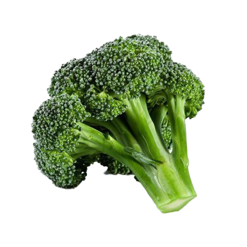 Green Broccoli Free Transparent Image HD Transparent PNG Image