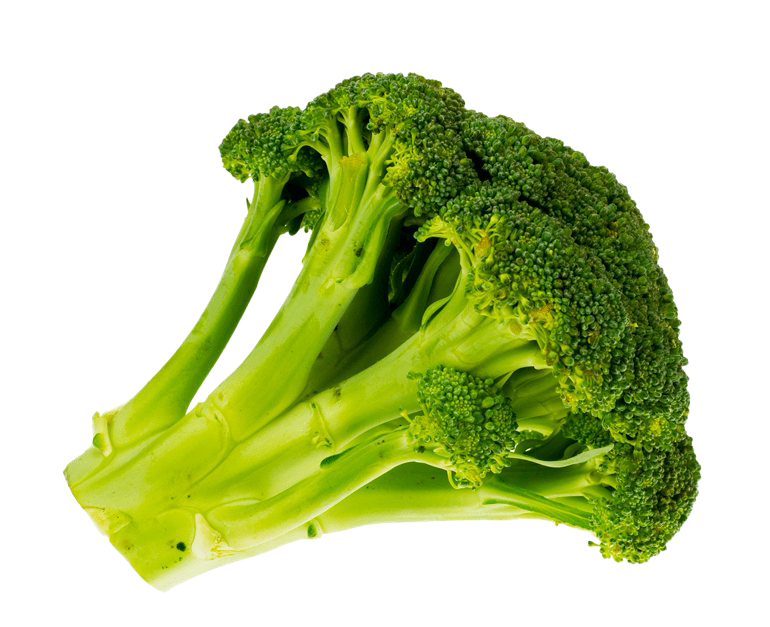 Green Broccoli PNG Free Photo Transparent PNG Image