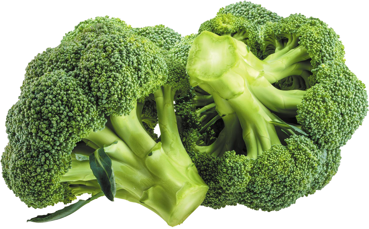 Images Green Broccoli Free Clipart HD Transparent PNG Image