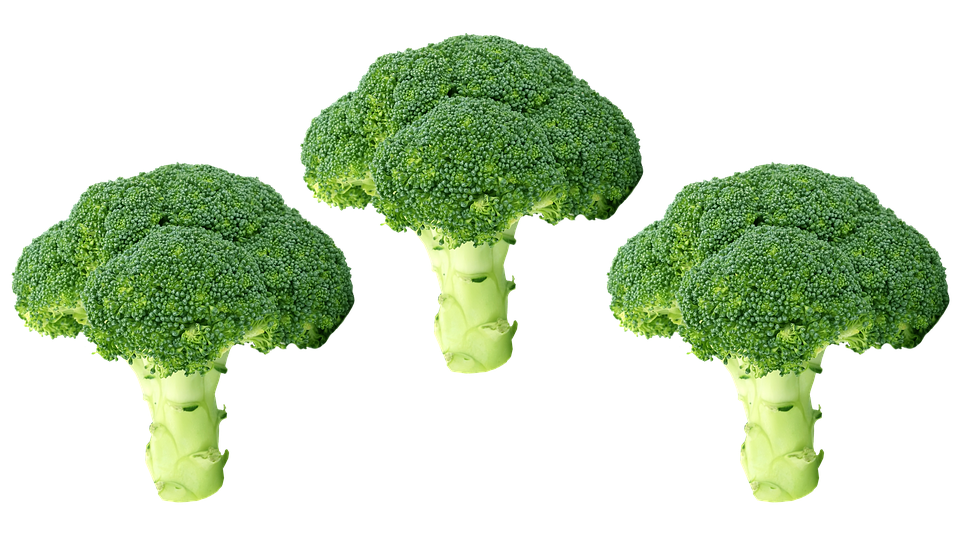 Green Broccoli PNG Image High Quality Transparent PNG Image