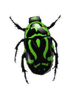 Green Bug Png Image Insect Png Transparent PNG Image