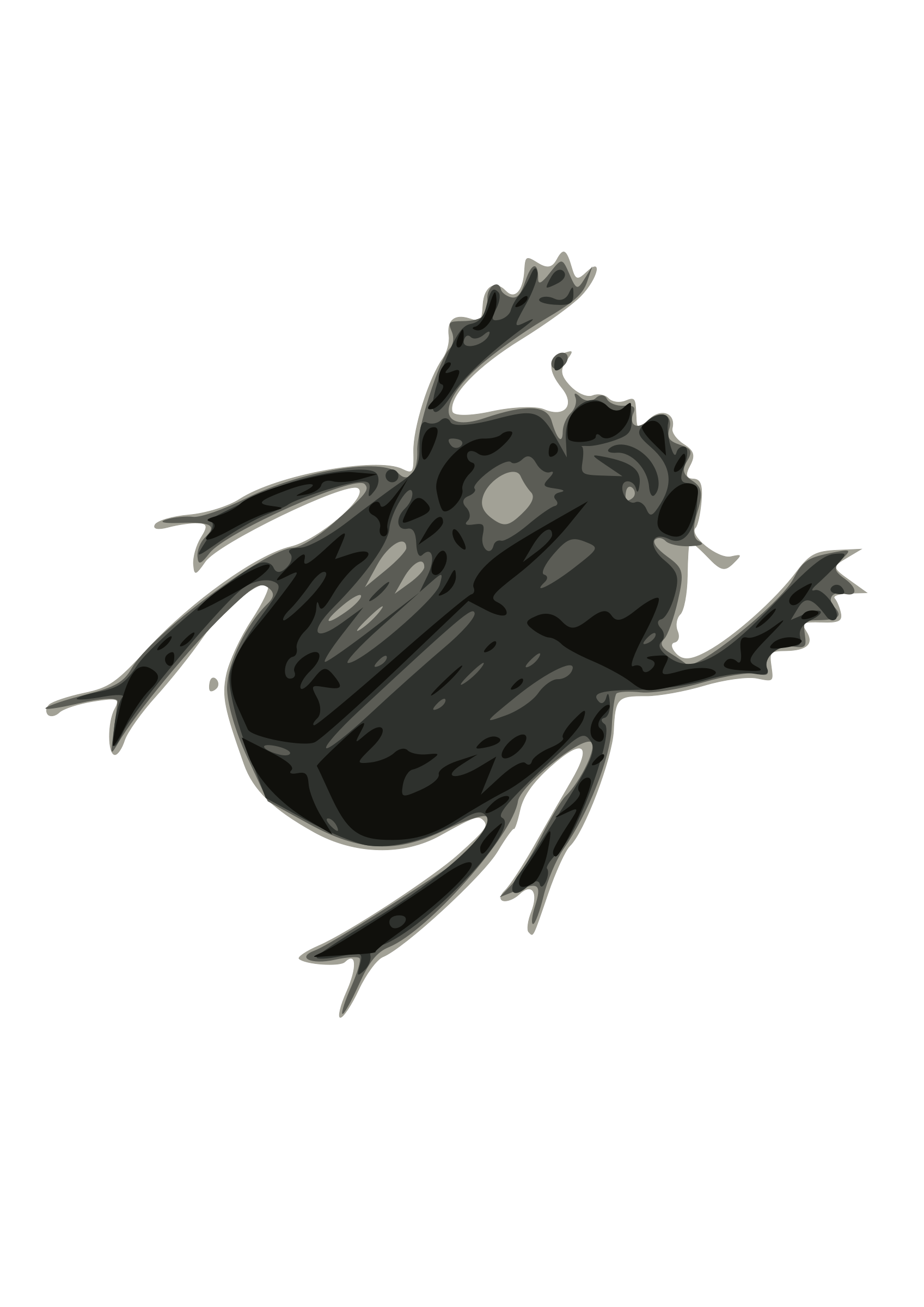 Bug Png Image Transparent PNG Image