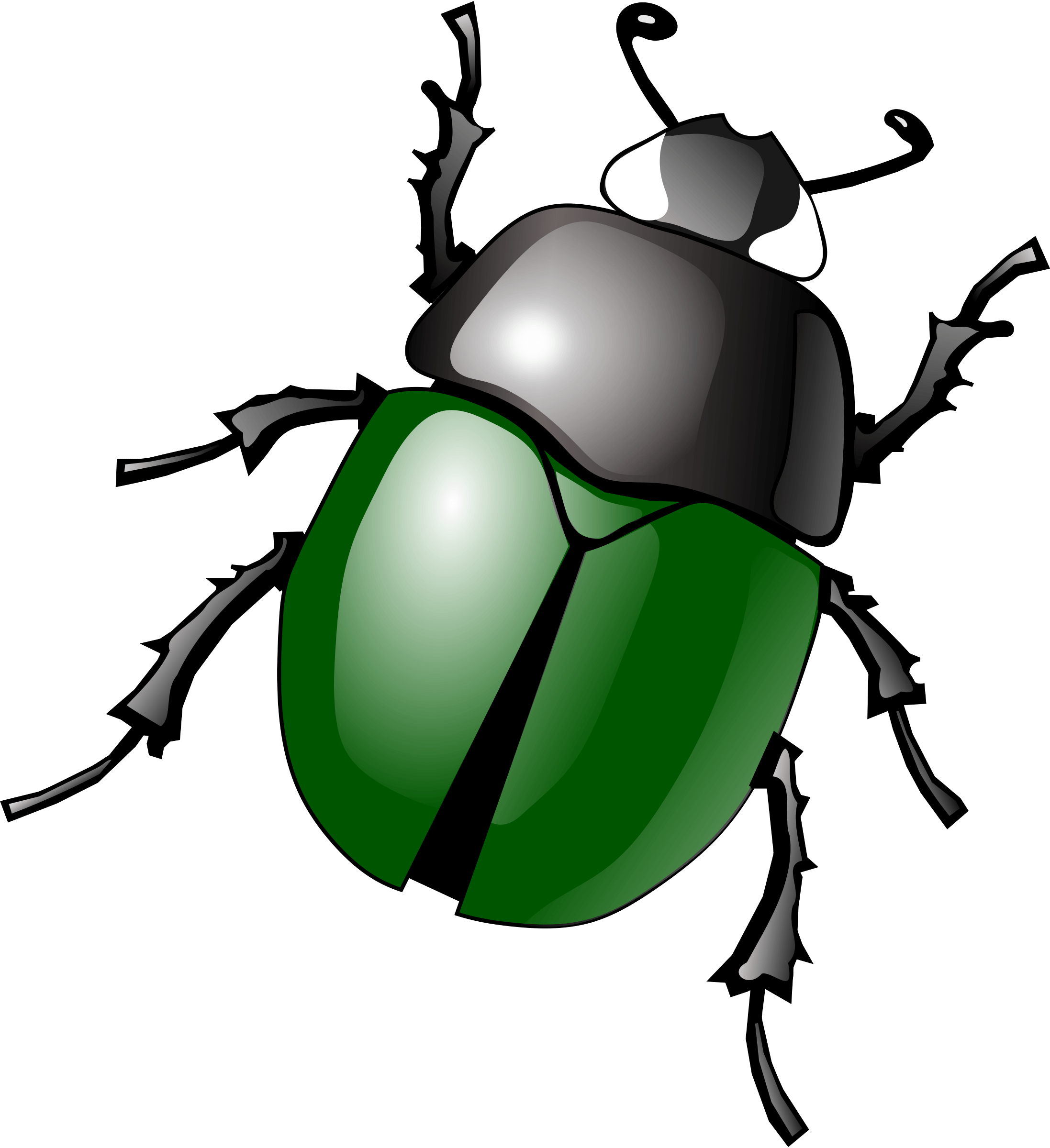 Bug Png Image Transparent PNG Image