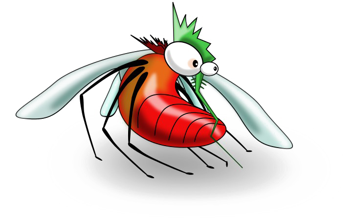 Mosquito PNG Image High Quality Transparent PNG Image