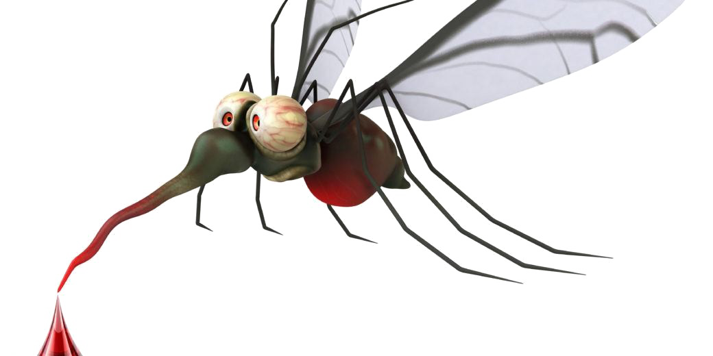 Mosquito Free Photo PNG Transparent PNG Image