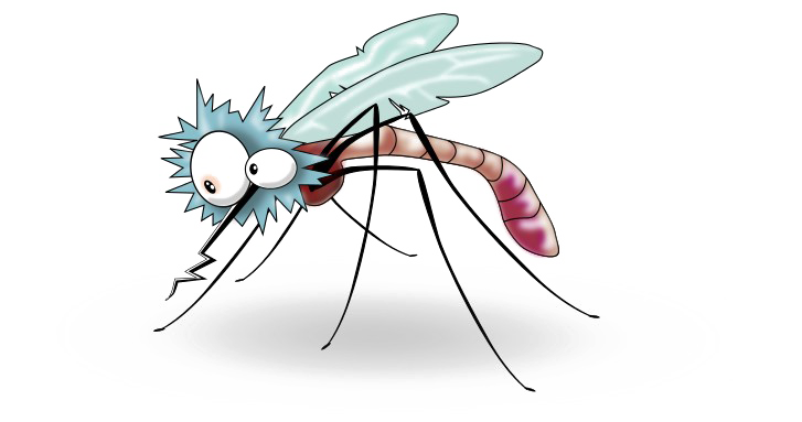 Mosquito Free HD Image Transparent PNG Image