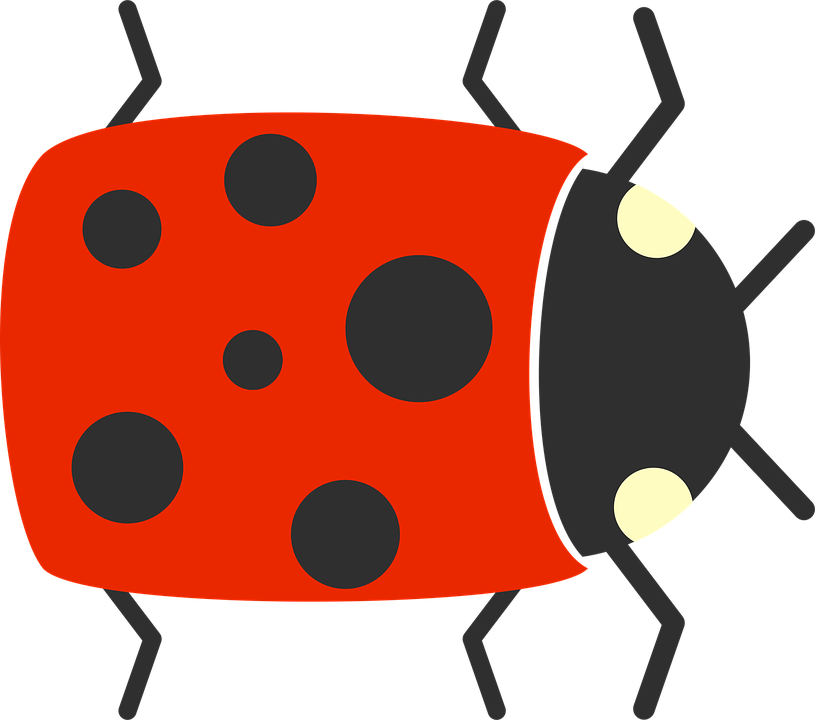 Ladybug Insect Cute HD Image Free Transparent PNG Image