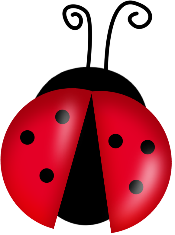 Ladybug Insect Cute Free Transparent Image HQ Transparent PNG Image