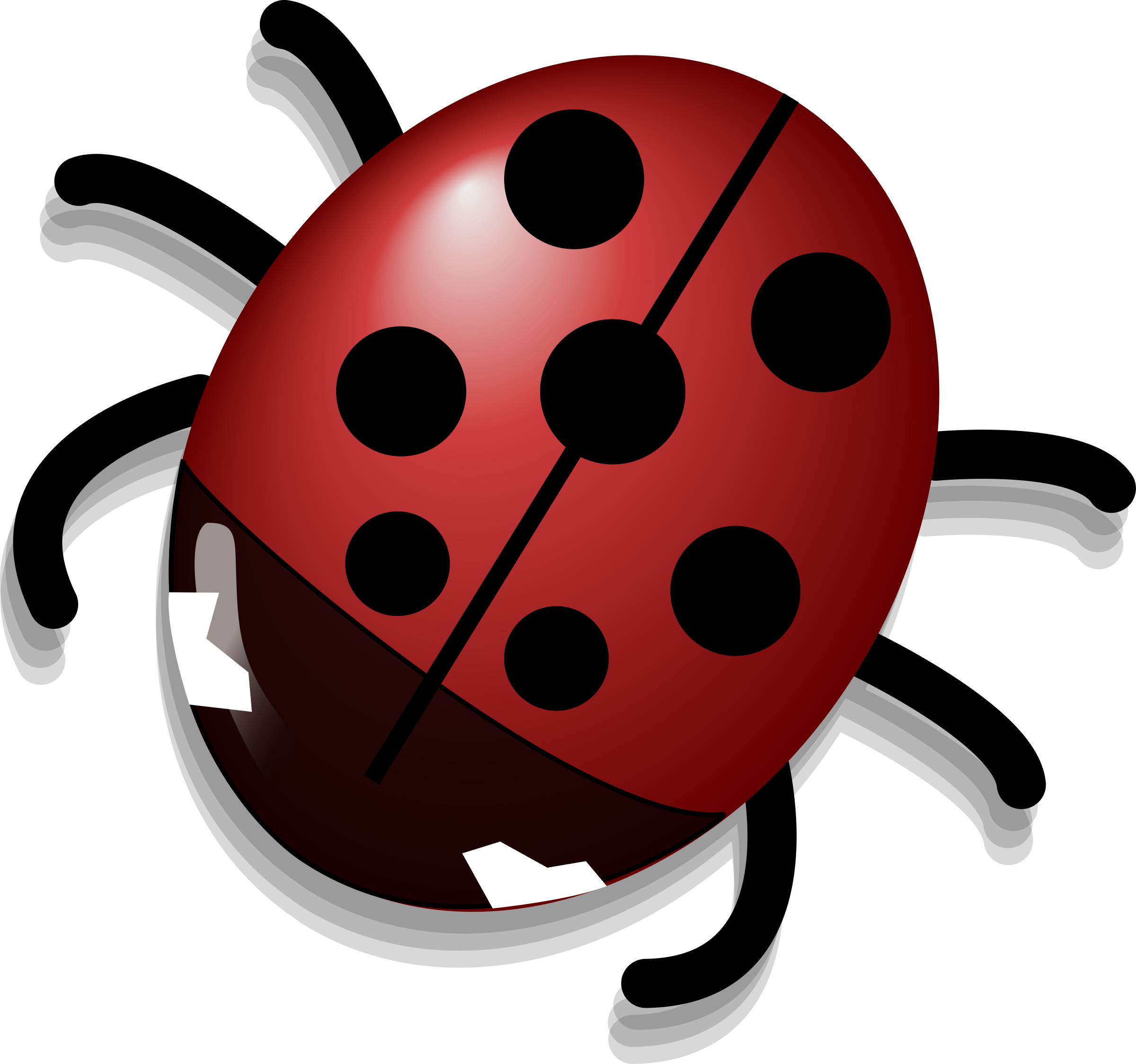 Ladybug Insect Photos Cute Free Download PNG HD Transparent PNG Image