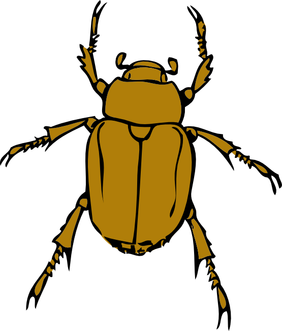 Beetle Bug Clip Art Transparent PNG Image