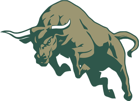 Bull High-Quality Png Transparent PNG Image