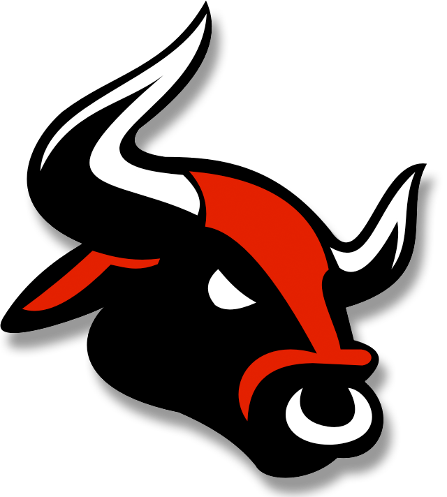 Bull Picture Transparent PNG Image