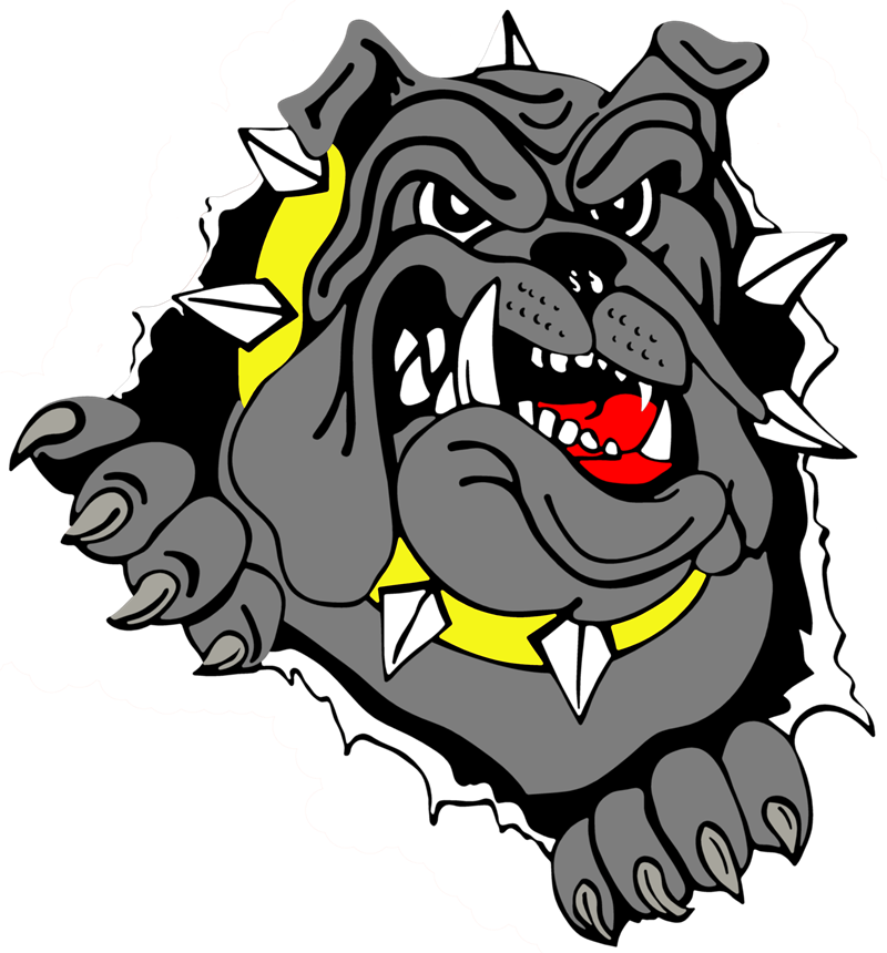 Bulldog Vector PNG Download Free Transparent PNG Image