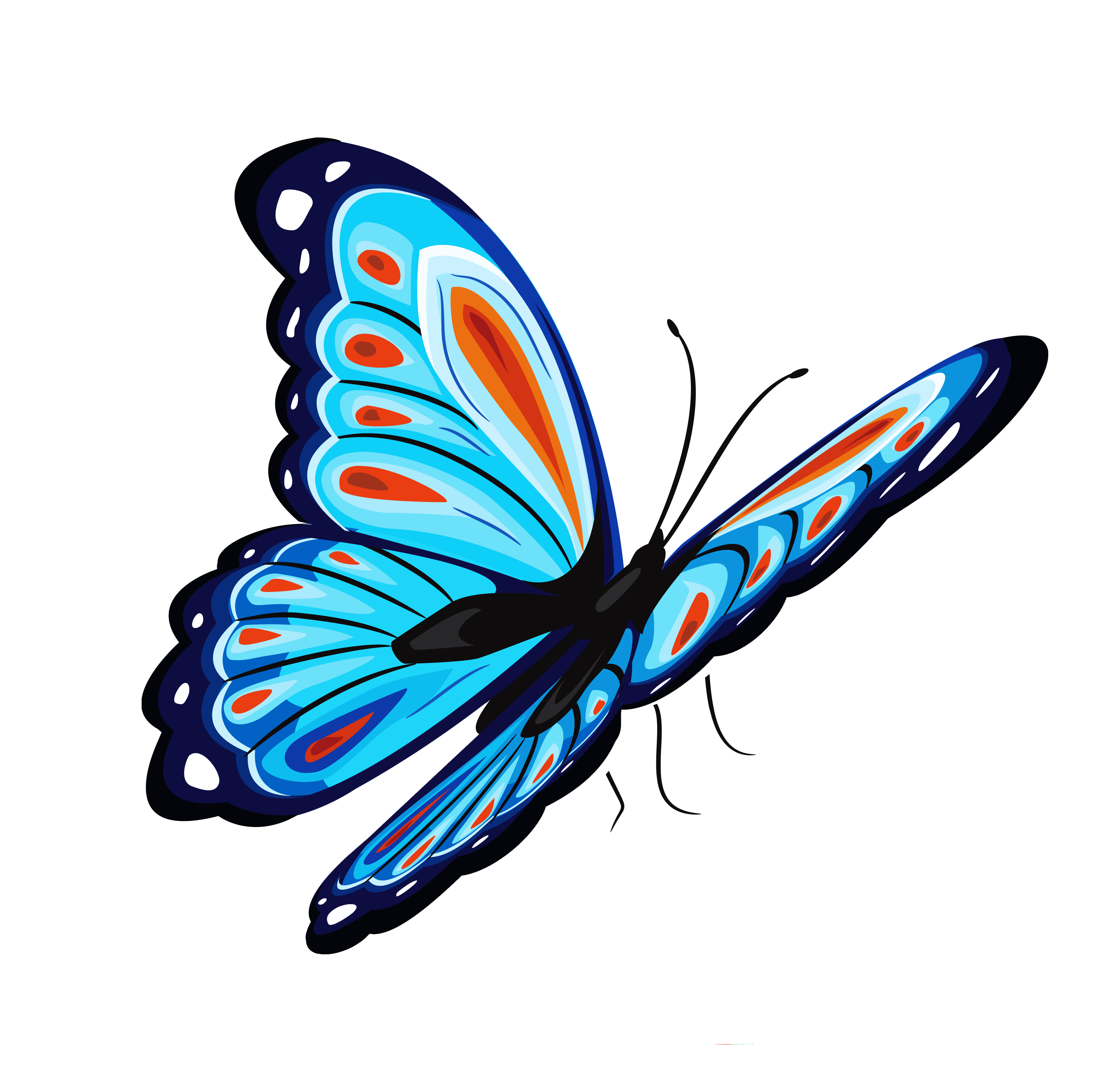 Butterfly Png Transparent PNG Image