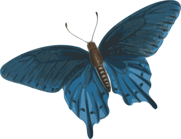 Butterfly Png Image Transparent PNG Image