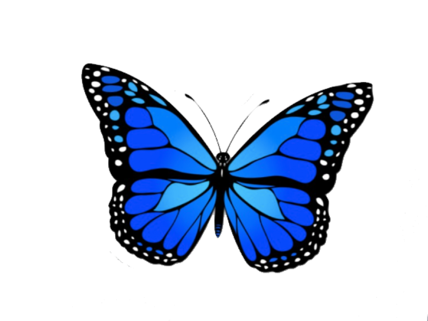 Blue Butterfly Free Transparent Image HQ Transparent PNG Image