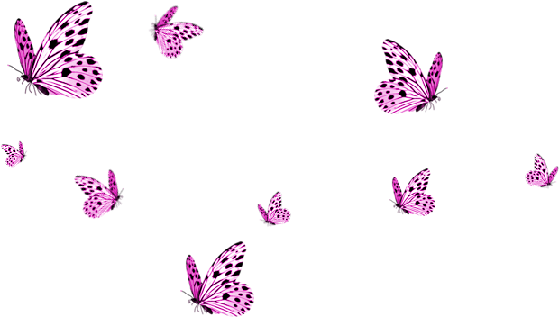 Pink Butterfly Photos HD Image Free Transparent PNG Image