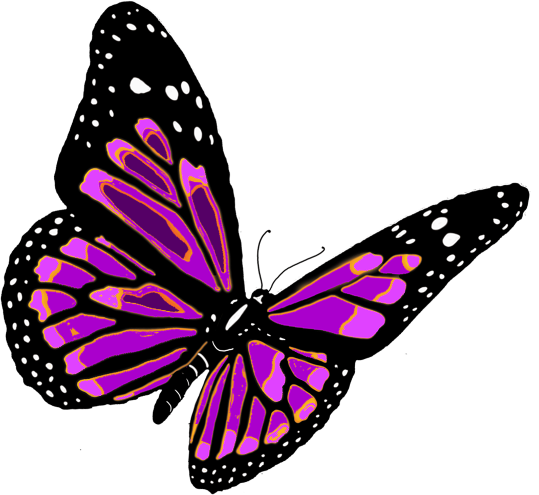 Pink Butterfly Download HD Transparent PNG Image