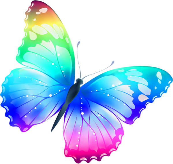 Butterfly Photos Vector Download Free Image Transparent PNG Image