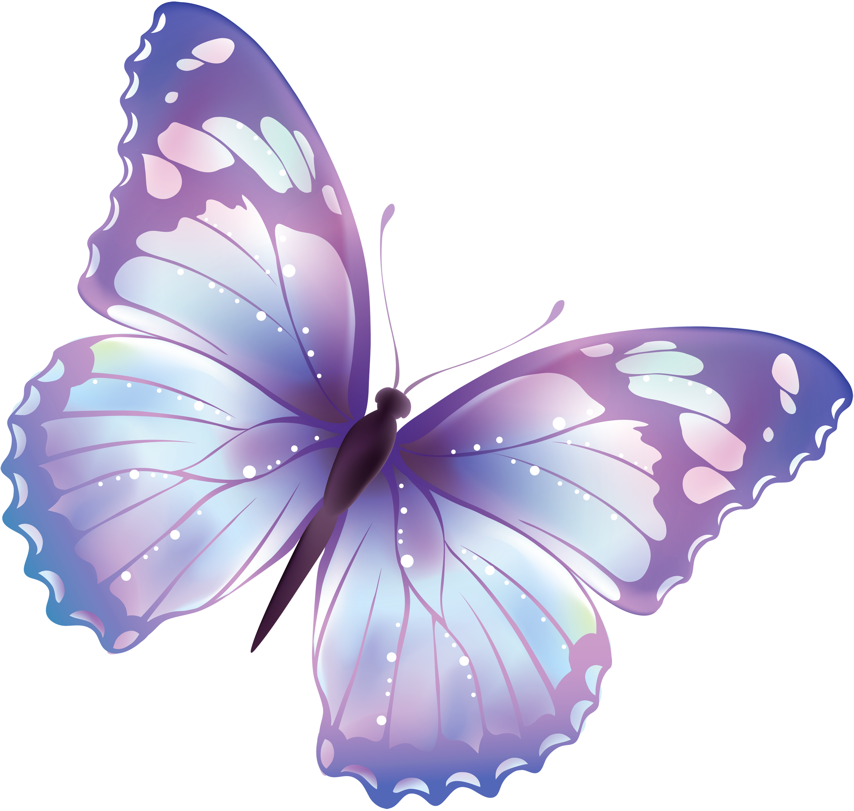 Butterfly Png 3 Transparent PNG Image