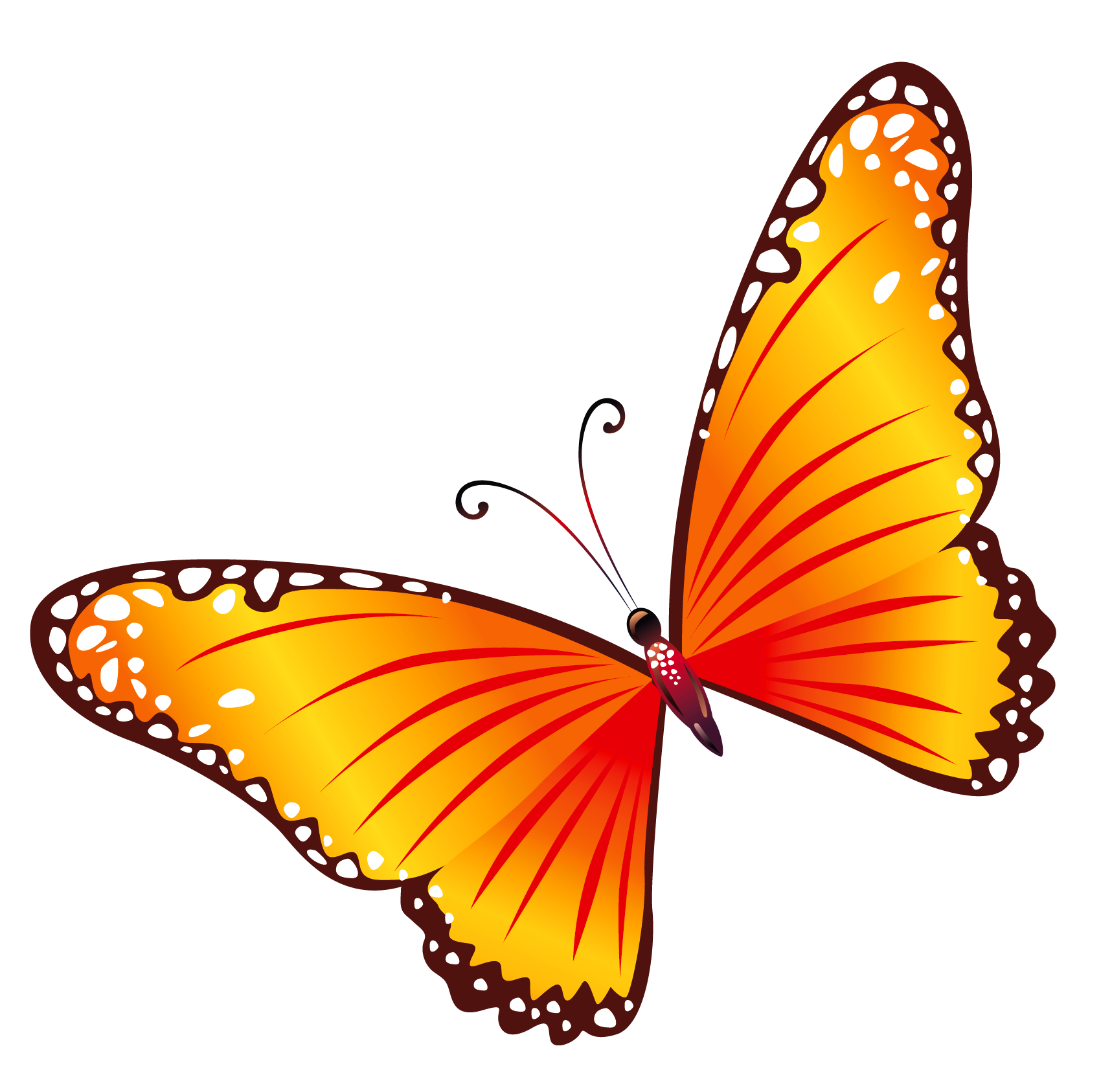 Butterfly Clipart Transparent PNG Image