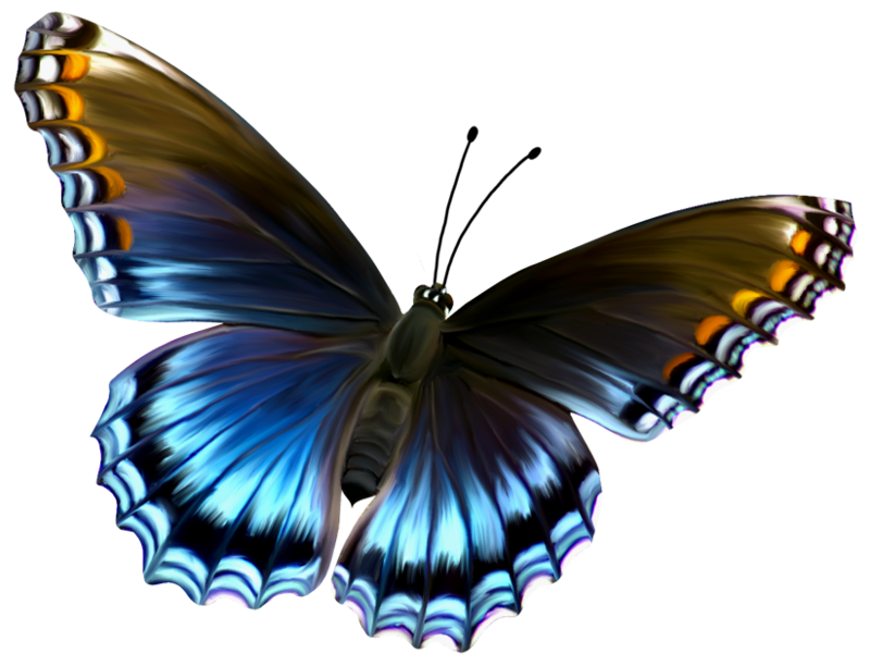 Amazing Butterfly Transparent PNG Image