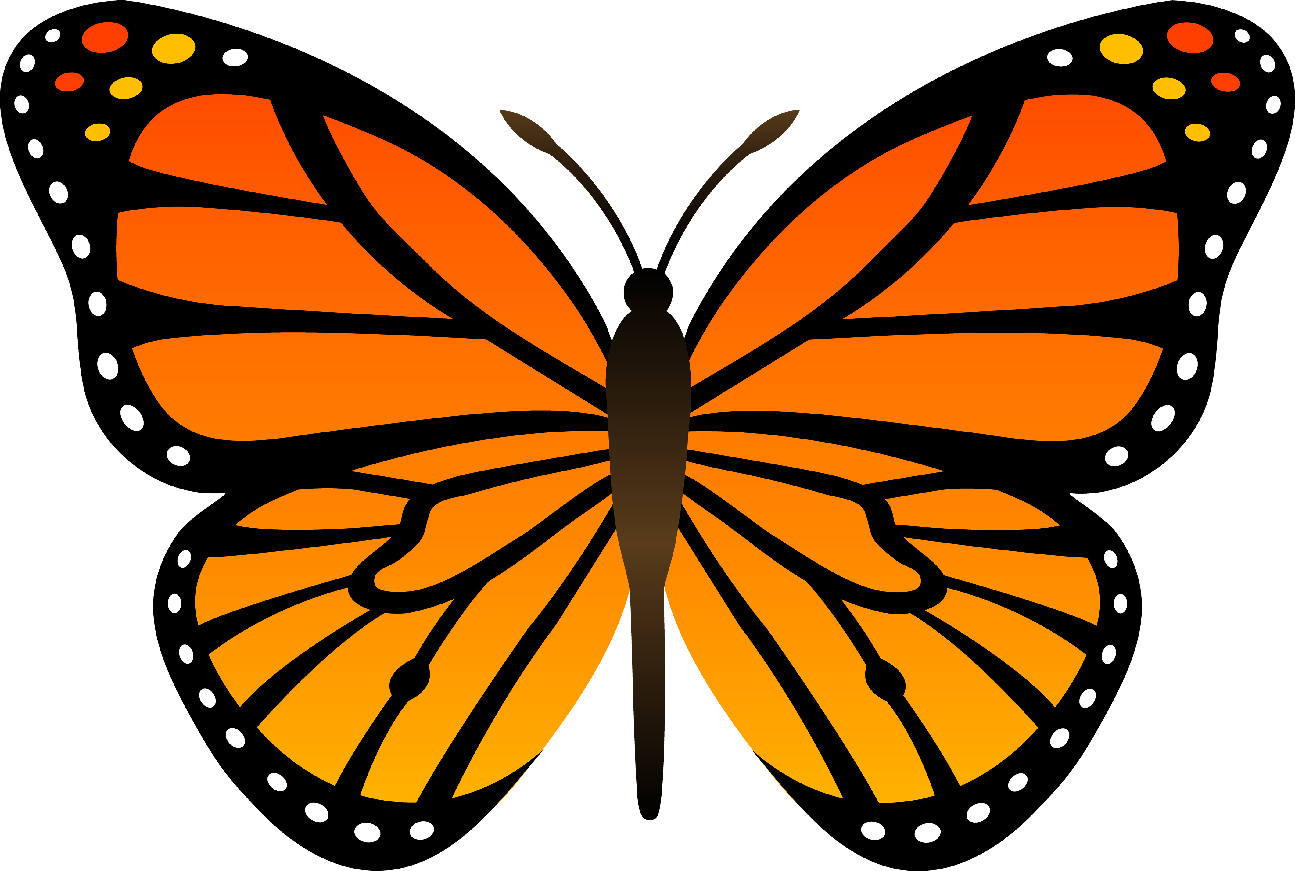 Cartoon Butterfly Transparent PNG Image