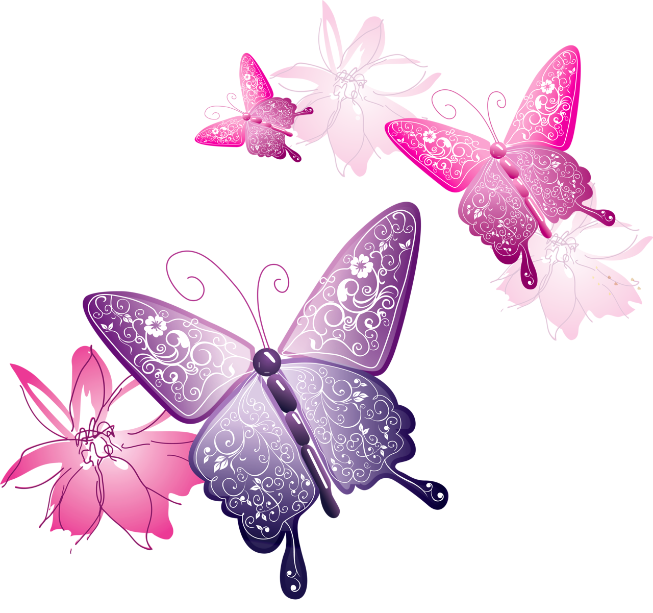 Vector Butterfly Transparent PNG Image