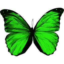 Green Flying Butterfly Png Image Transparent PNG Image