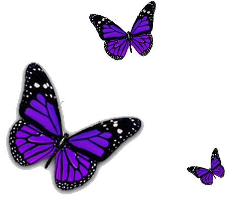 Purple Butterfly Transparent Image Transparent PNG Image