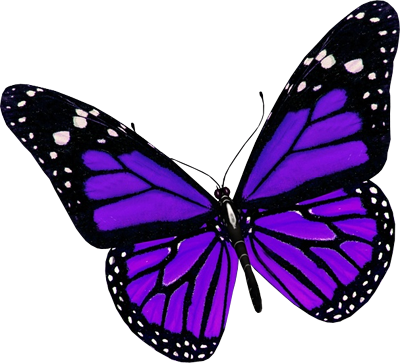 Purple Butterfly File Transparent PNG Image