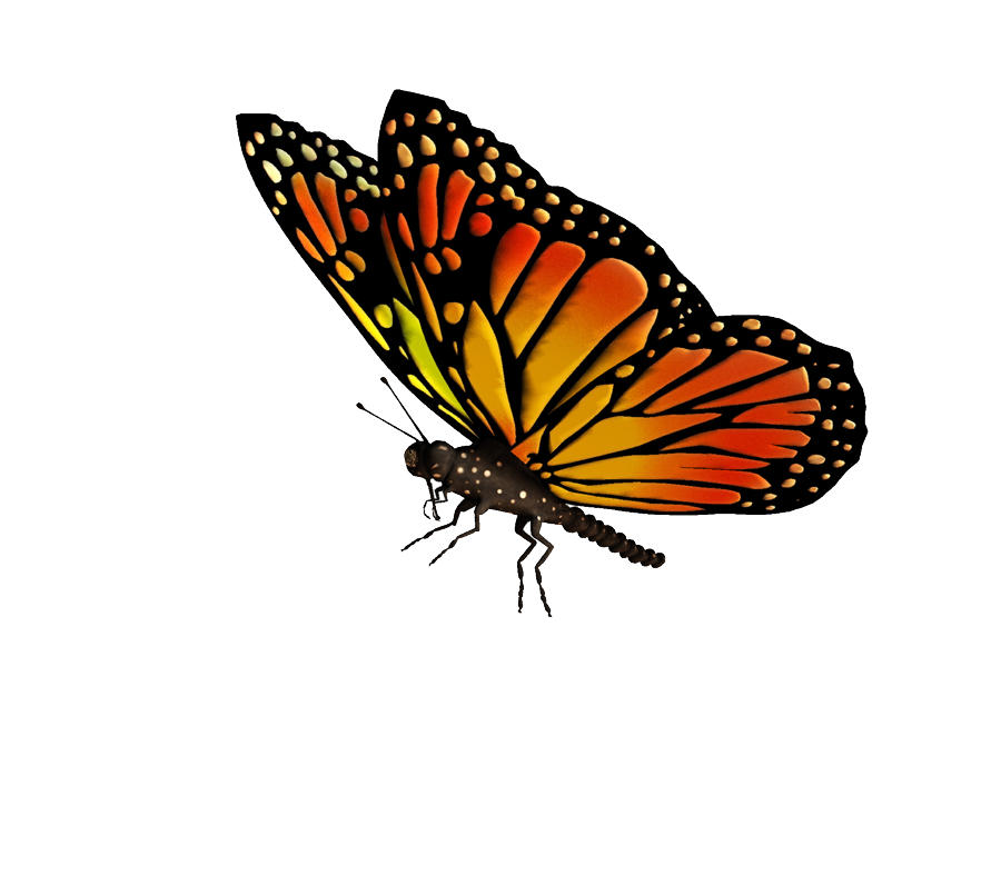 Flying Butterflies Transparent Transparent PNG Image