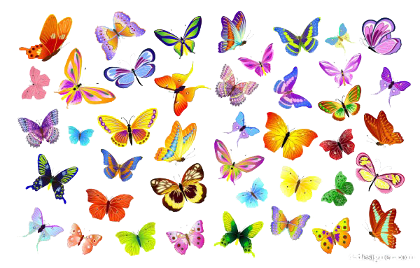 Butterflies Vector File Transparent PNG Image