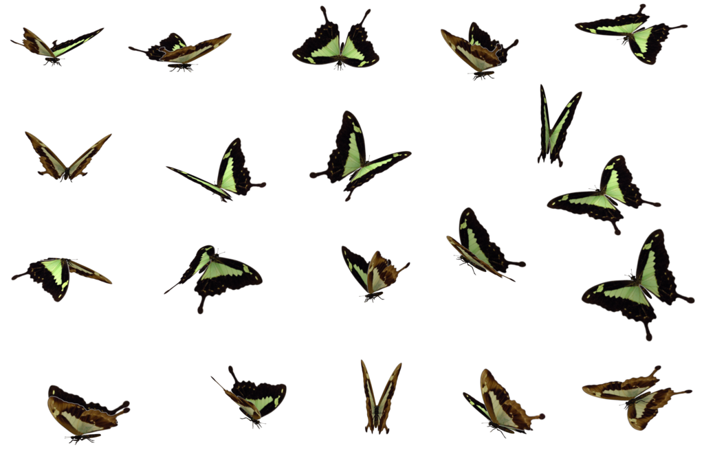 Butterflies Swarm File Transparent PNG Image