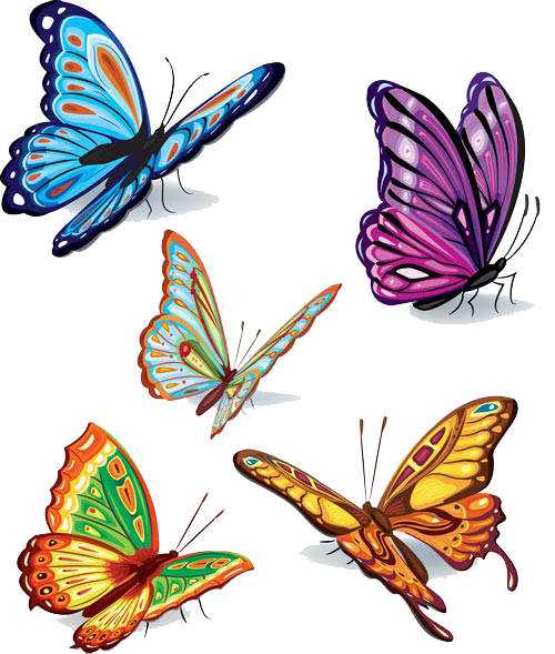 Butterflies Vector Image Transparent PNG Image