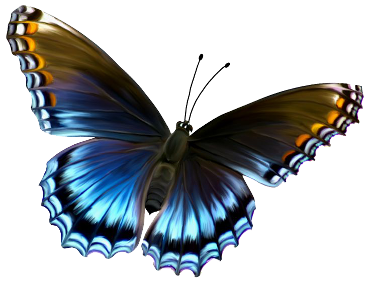 Flying Butterflies Transparent PNG Image