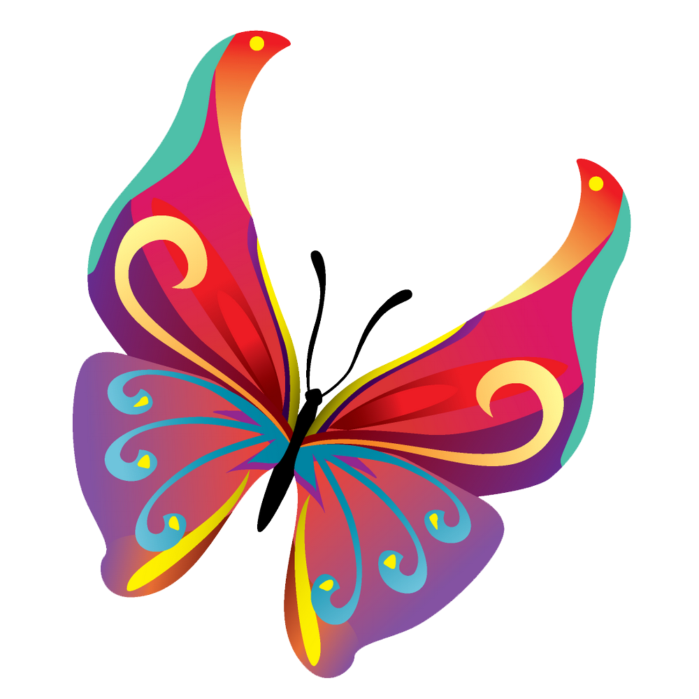 Butterflies Vector Transparent PNG Image