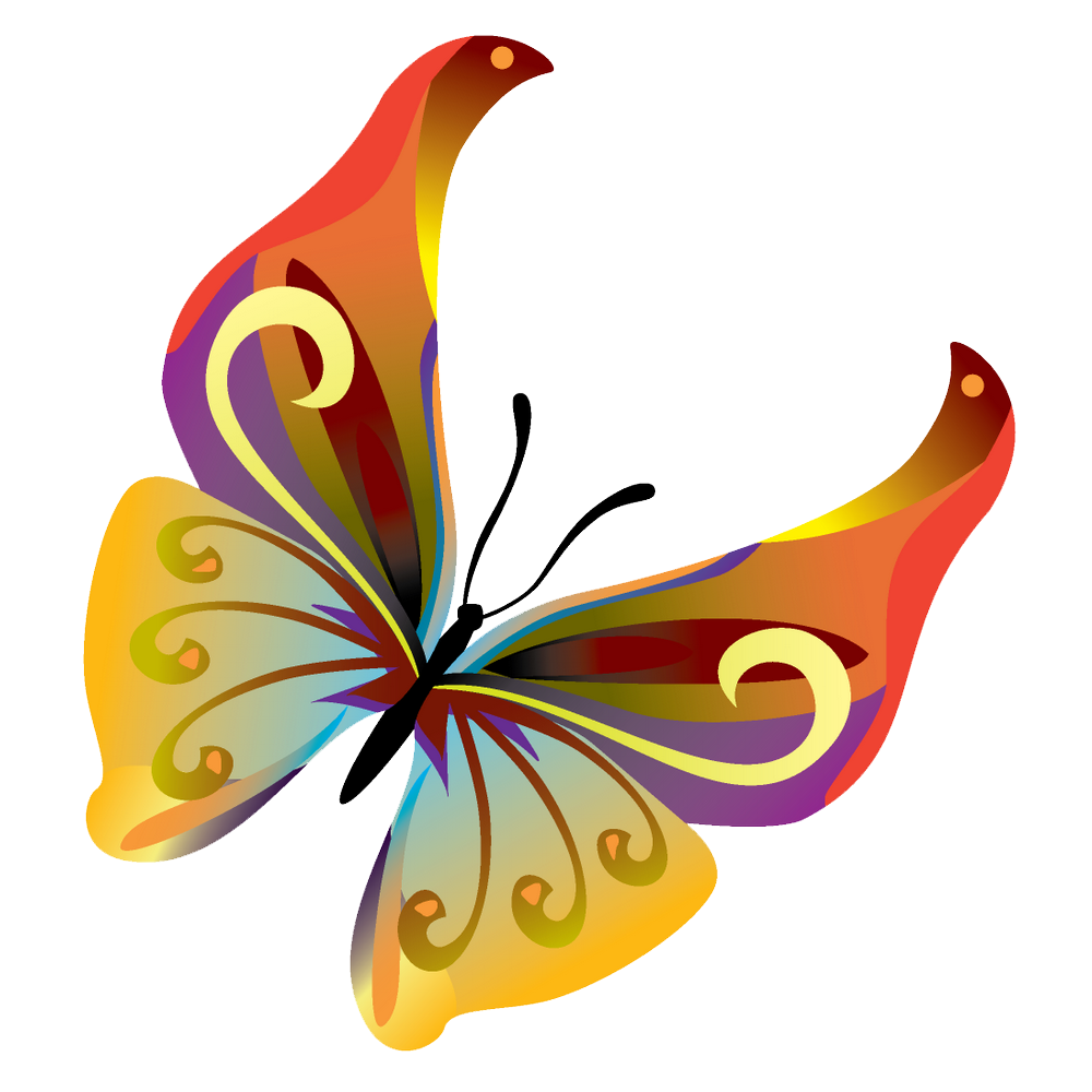 Butterflies Vector Transparent Image Transparent PNG Image