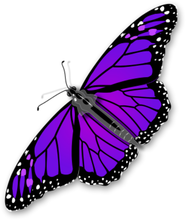 Purple Butterfly Transparent Transparent PNG Image