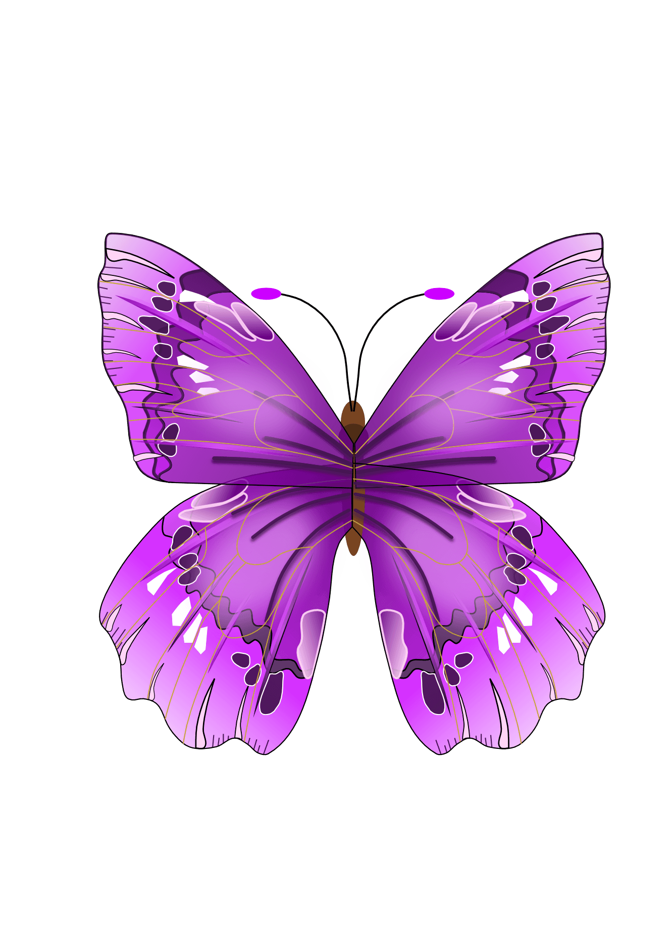 Butterfly Png Image Transparent PNG Image