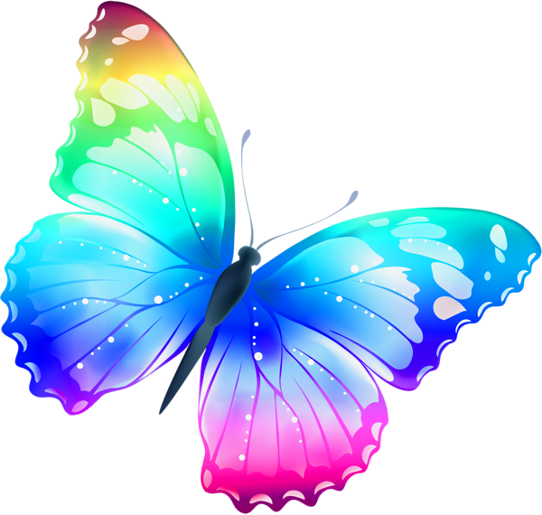 Colorful Butterfly Png Image Transparent PNG Image