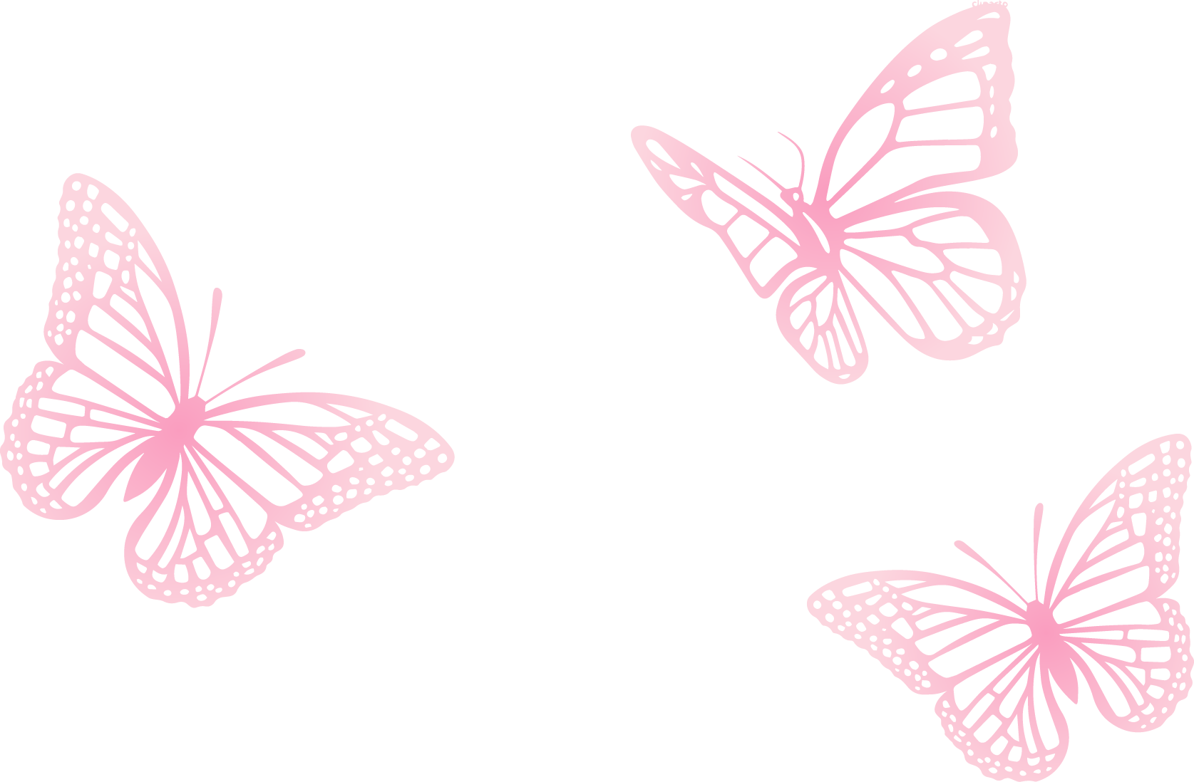 Butterfly Pink Painted Three Euclidean Vector Transparent PNG Image