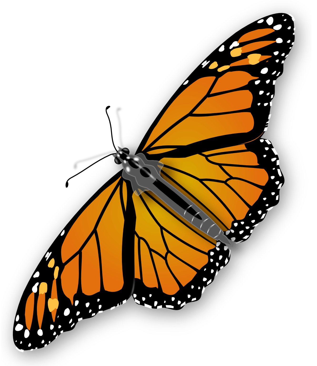 Butterfly Png Image Transparent PNG Image