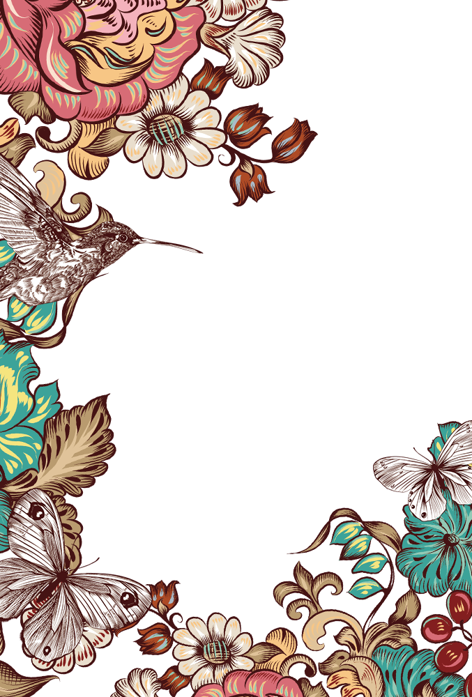 Butterfly Flower Border Bird Hand-Painted Free Frame Transparent PNG Image