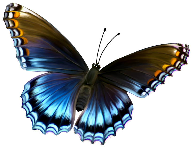 Butterfly Png 6 Transparent PNG Image