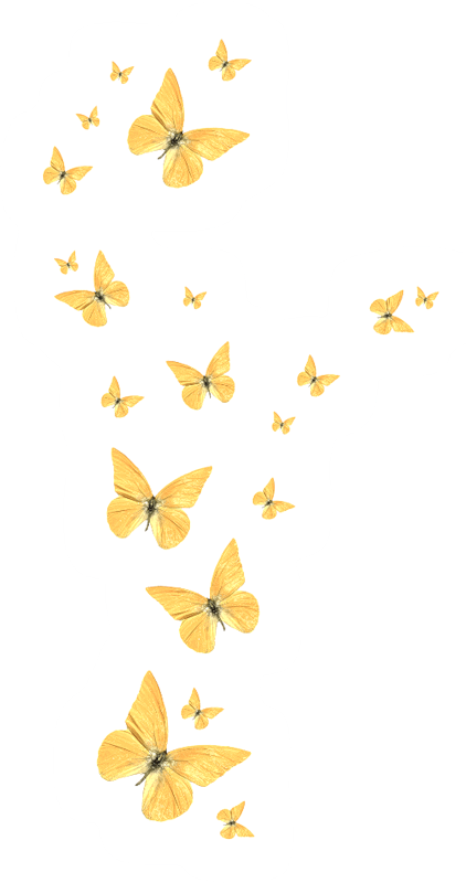 Butterfly Golden HQ Image Free PNG Transparent PNG Image