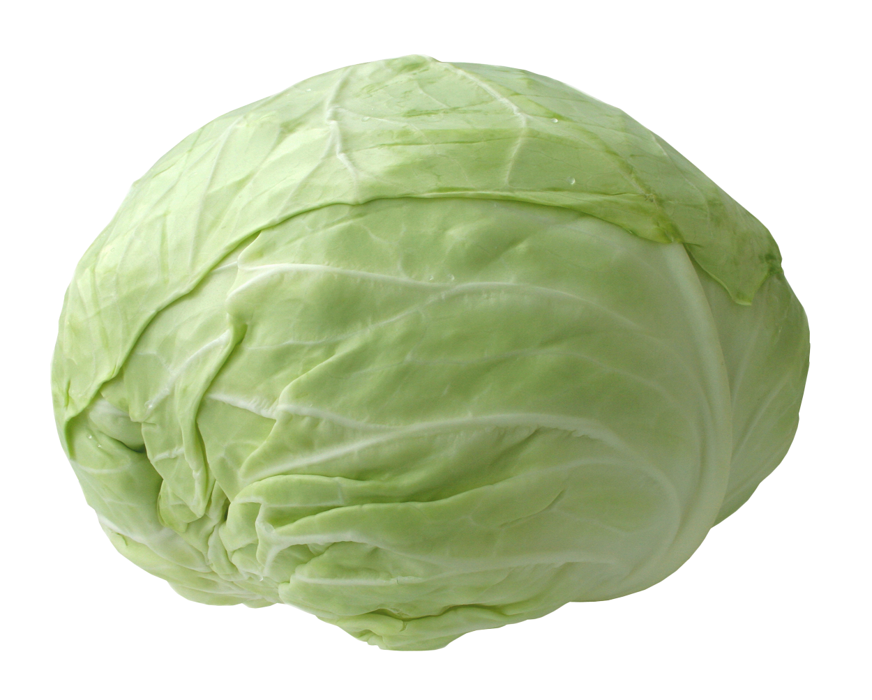 Cabbage Png Picture Transparent PNG Image