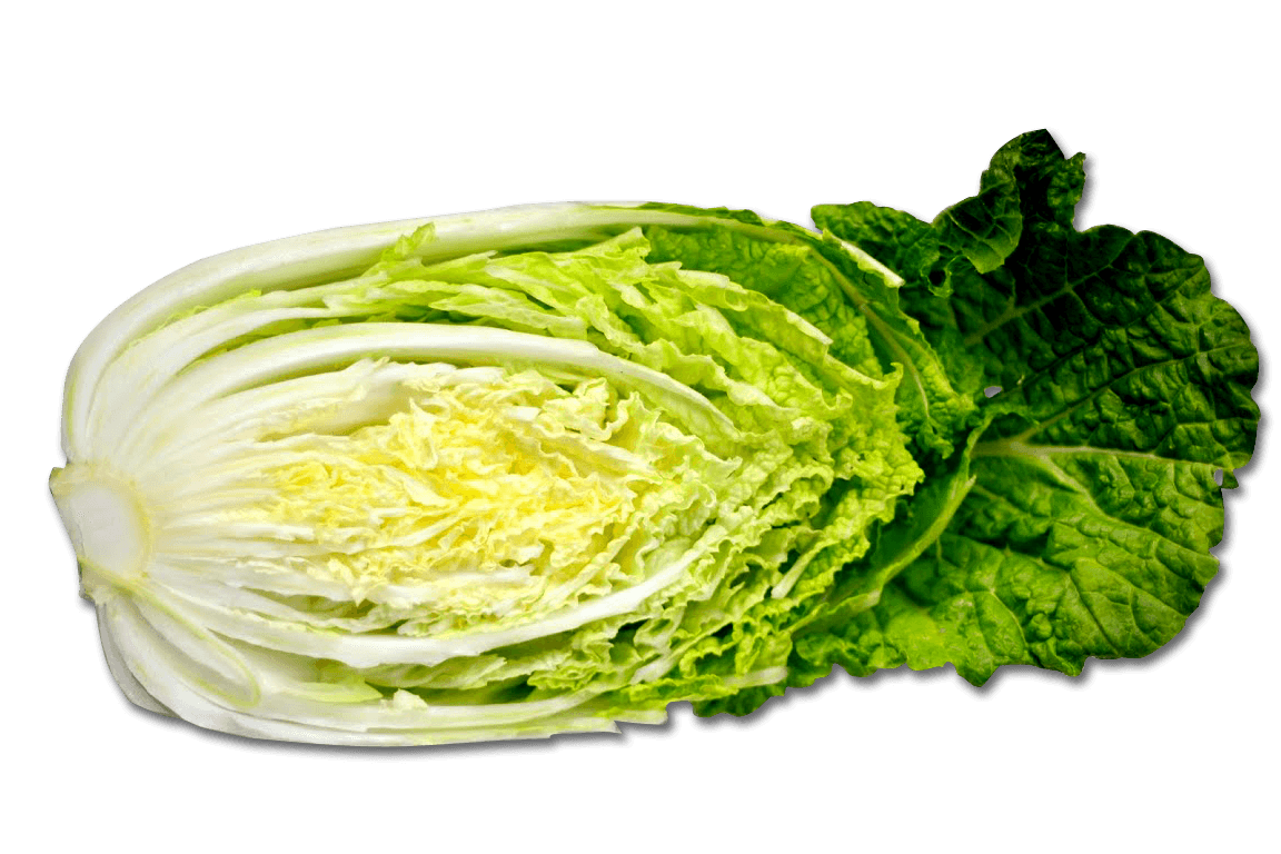 Cabbage Png Image Transparent PNG Image