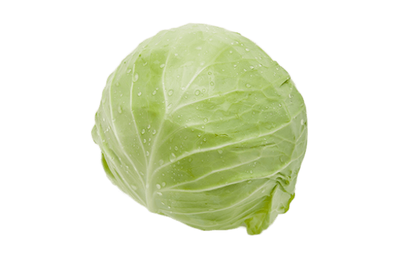 Cabbage Png Image Transparent PNG Image